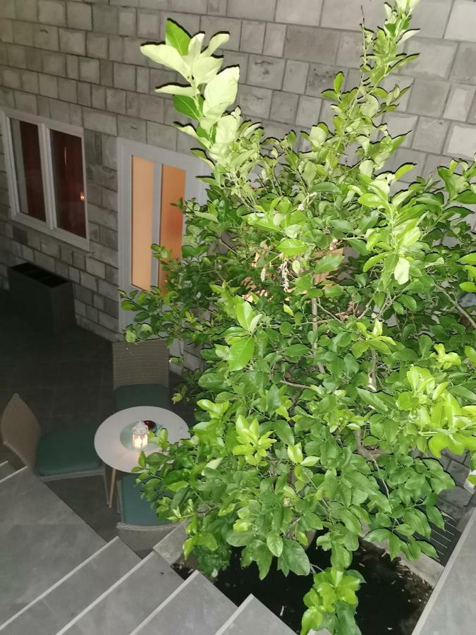 Apartament Zorić Apartments&rooms *